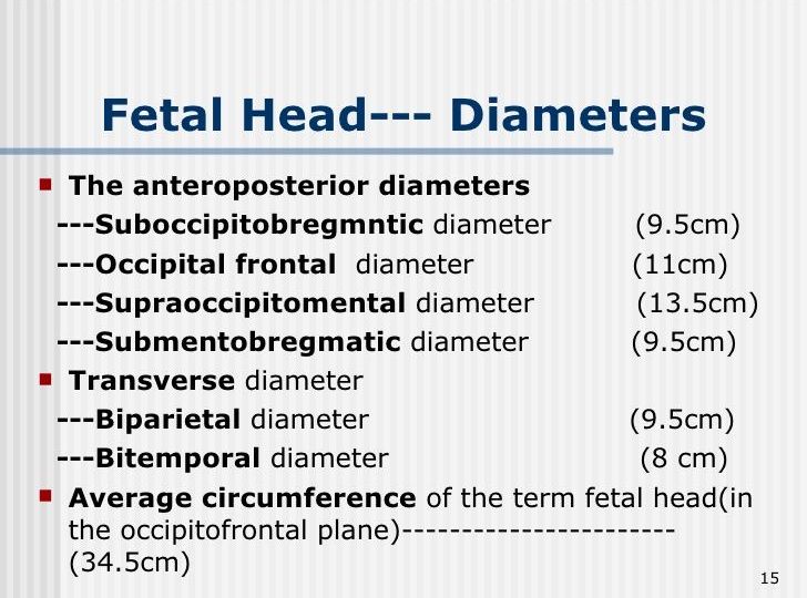 fetal head