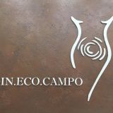 gineco campo